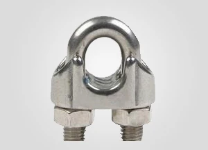 Din741 acero inoxidable alambre abrazaderas abrazadera